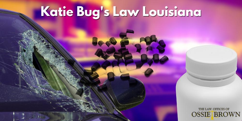 katie bug's law