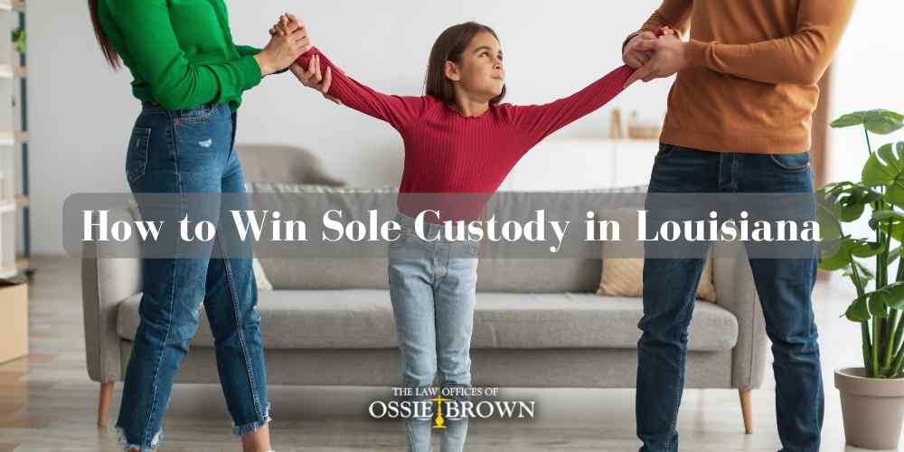 How to Win Sole Custody in Louisiana