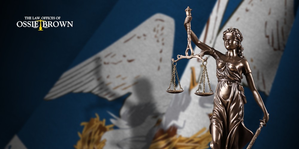 Louisiana Occupational License Defense Lawyer